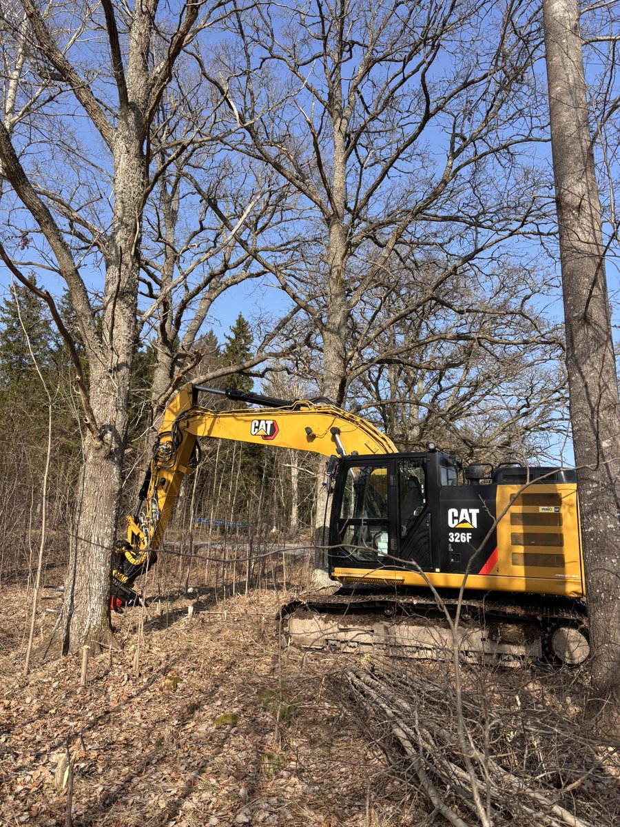 Alexander von Bothmer tweet media