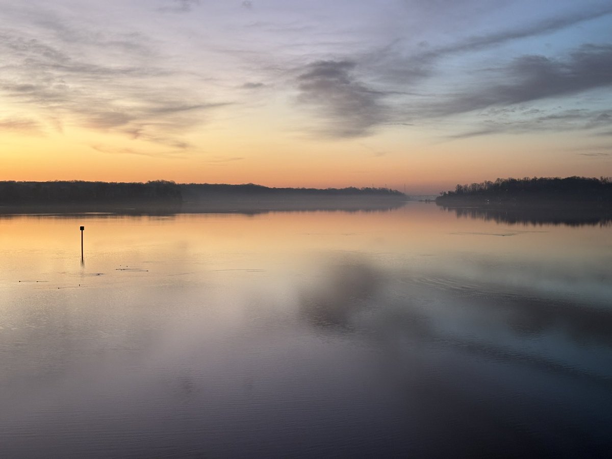 background noise tweet media