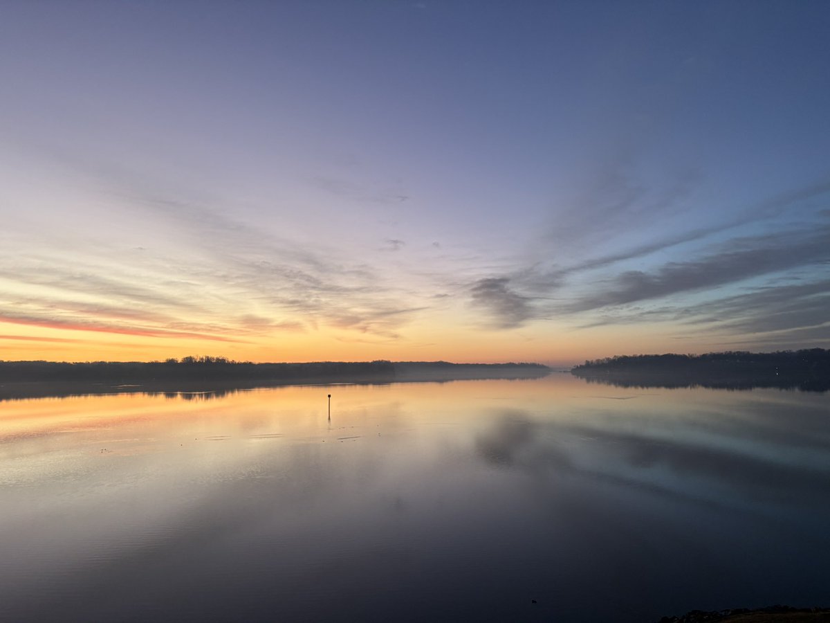 background noise tweet media