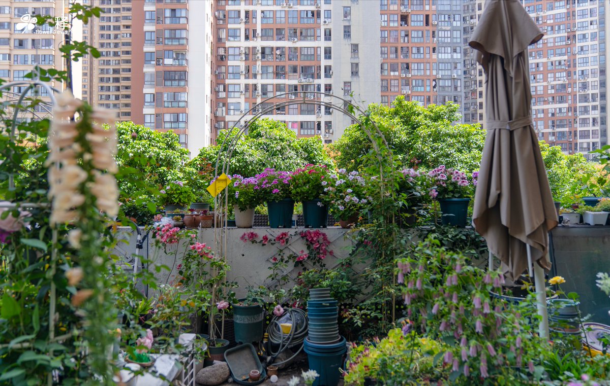 Lance Breitstein 🇺🇸🌎 /secretary tweet media