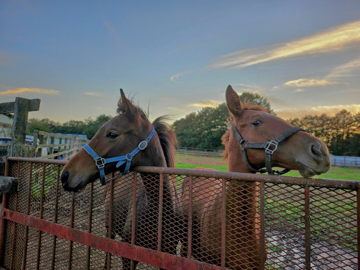 ワールドファーム tweet media