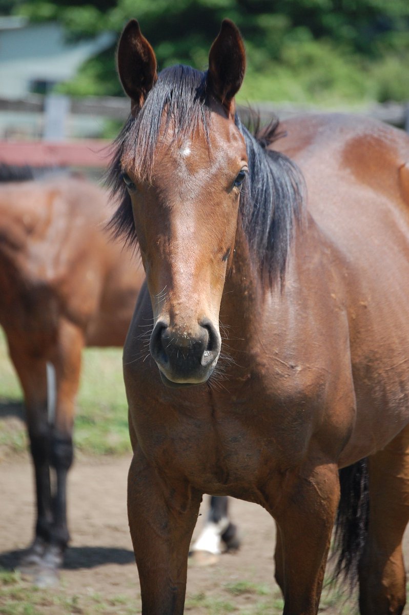 ワールドファーム tweet media