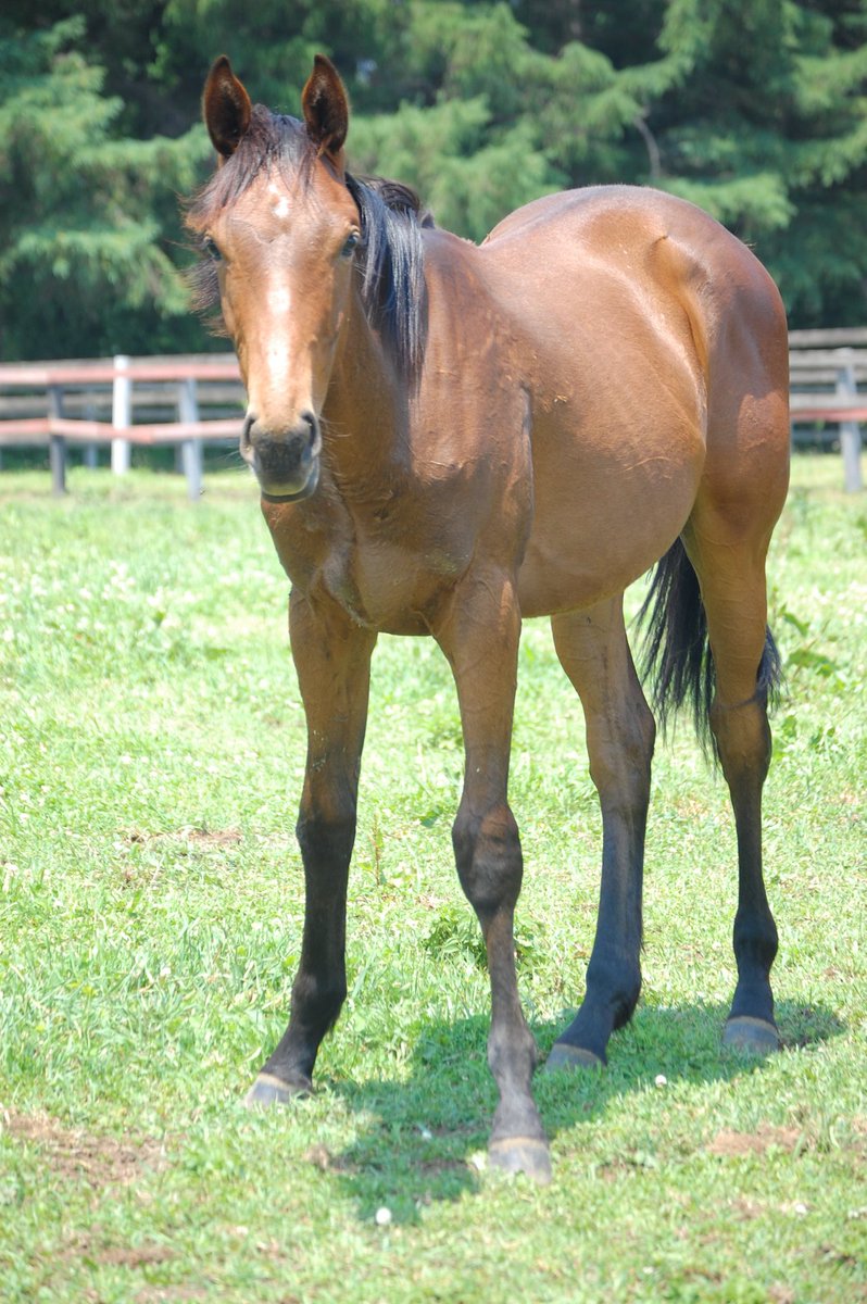 ワールドファーム tweet media