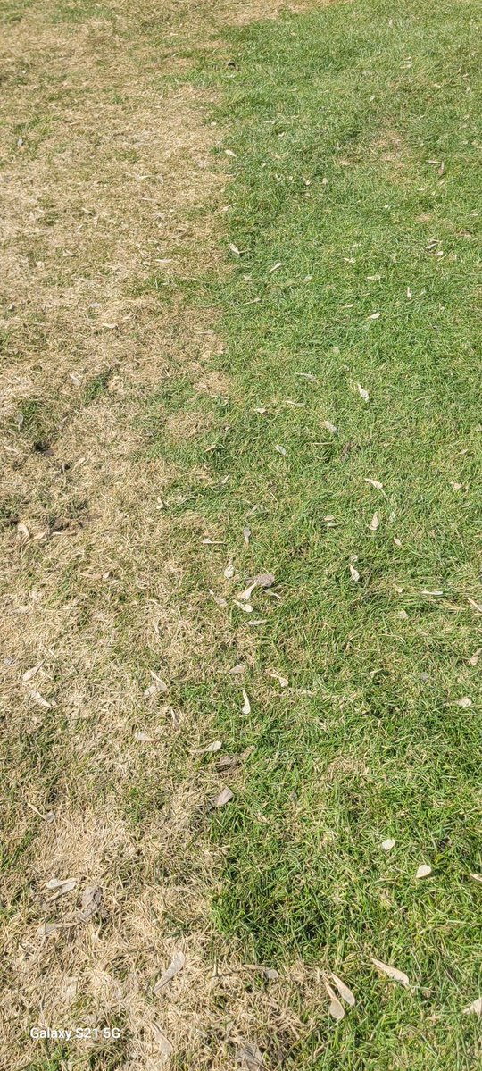 RiverEdge Superintendent tweet media