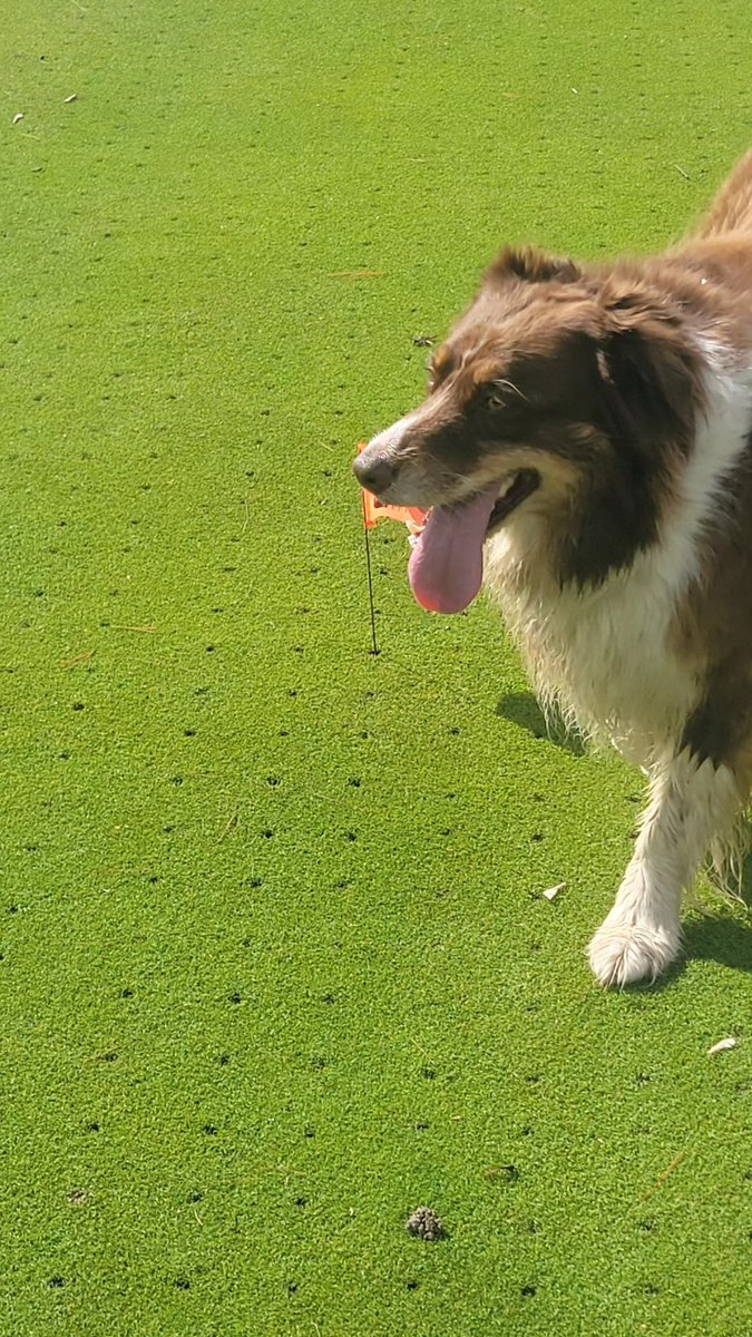 RiverEdge Superintendent tweet media