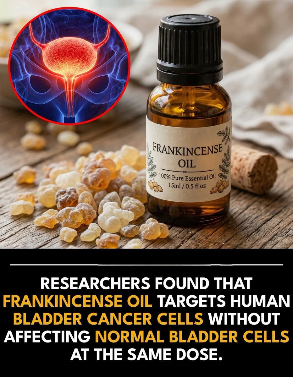 د. عبدالرحمن ذياب tweet media