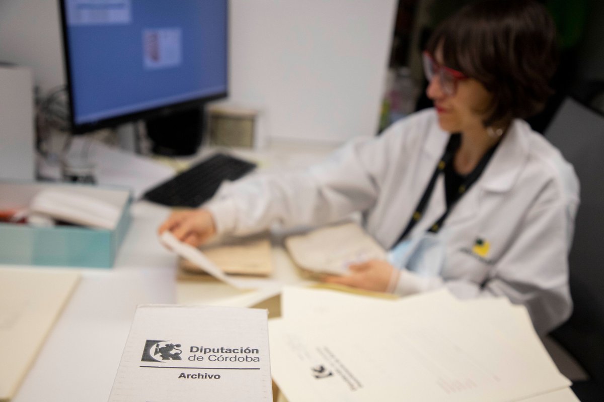 Normadat tweet media