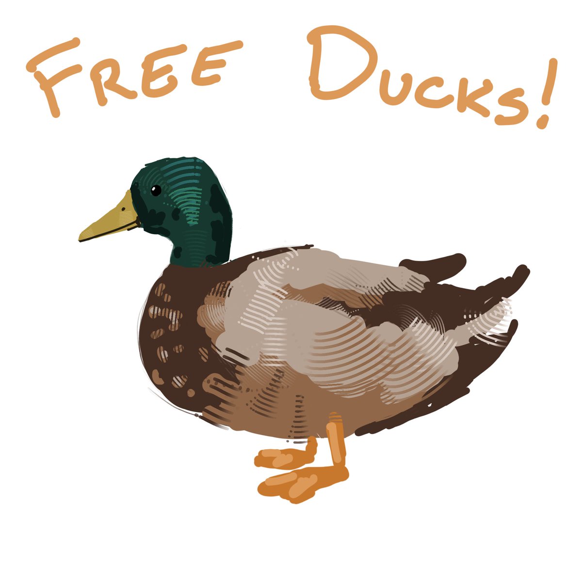 _Amaryth_'s tweet photo. @jamezizlamez @iism2Uqnbv3PoA7 @nenemyun i hope you got your ducks by now, but just in case! https://t.co/nvkTgIHtlx