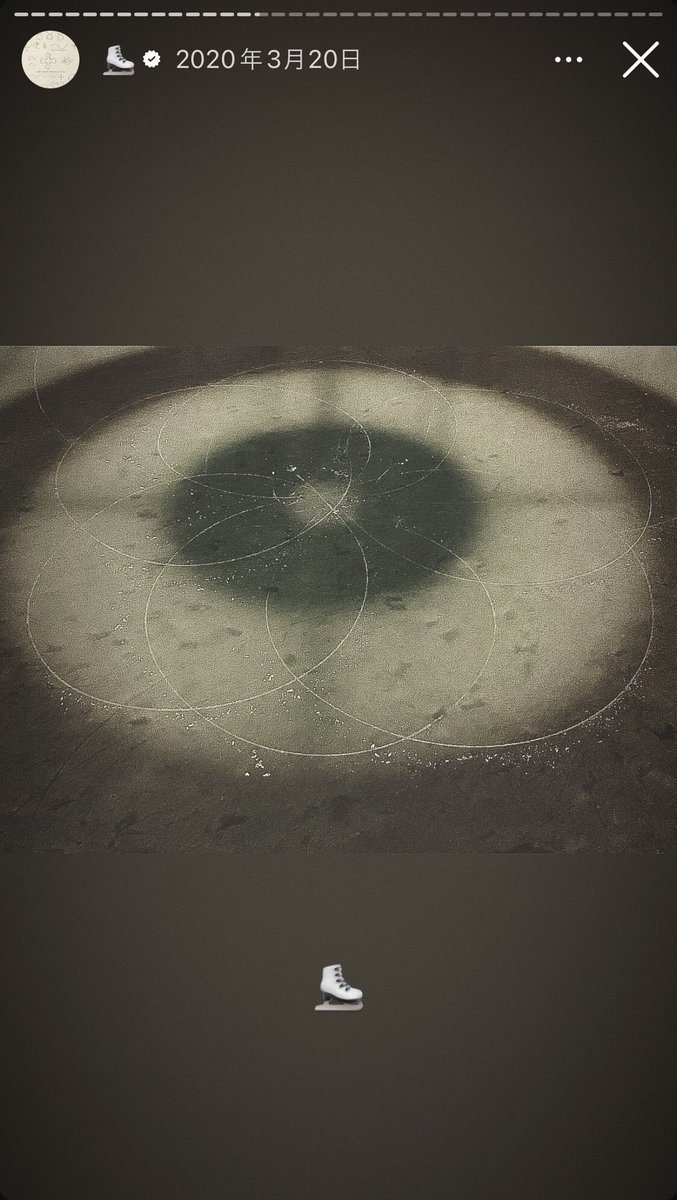 🐈‍⬛♡ tweet media