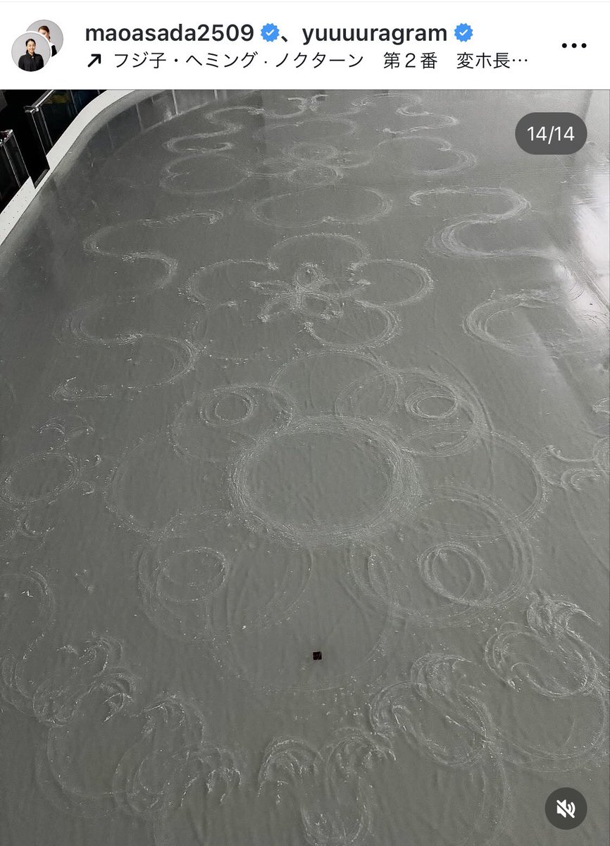 🐈‍⬛♡ tweet media