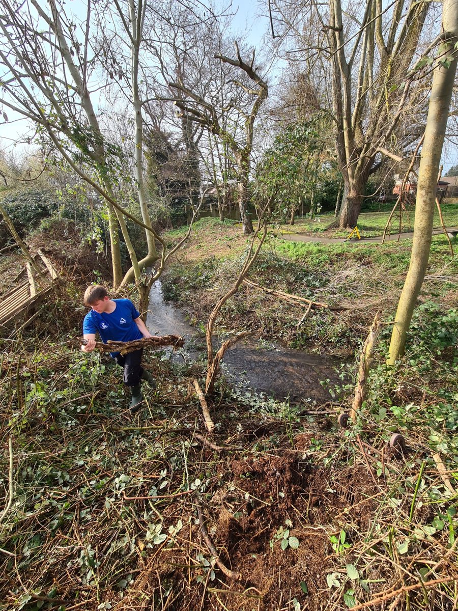 ColneCAN tweet media