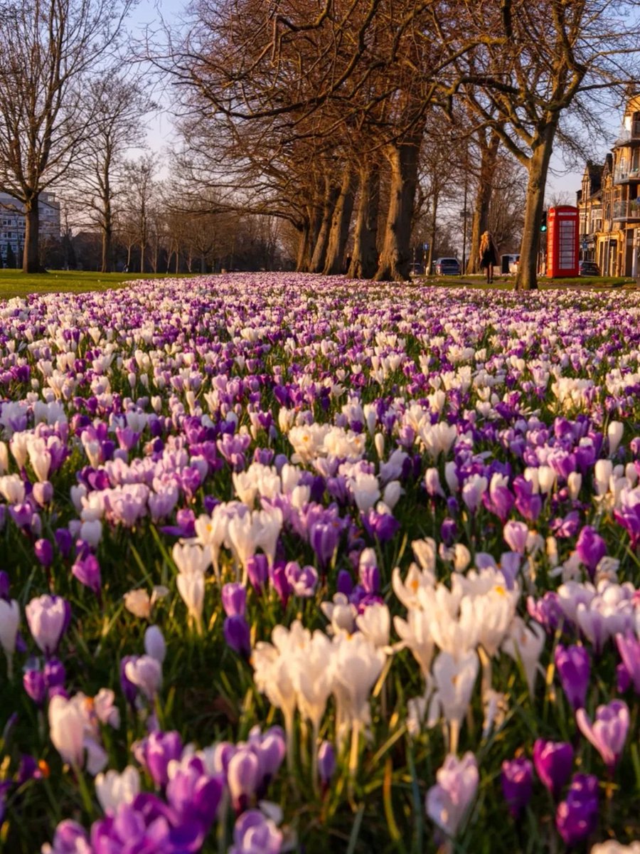 North Yorkshire tweet media