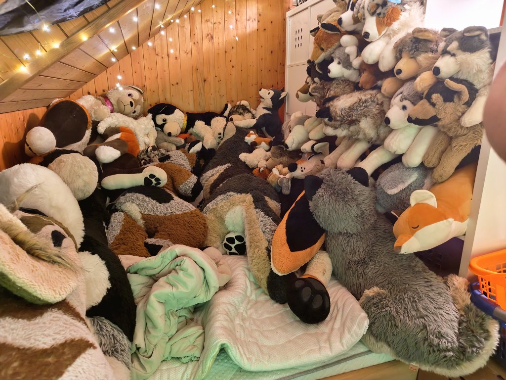 Moved to a new place and built myself a cuddle cave. 

No matter which direction i turn myself in there, there's always someone to cuddle 😂