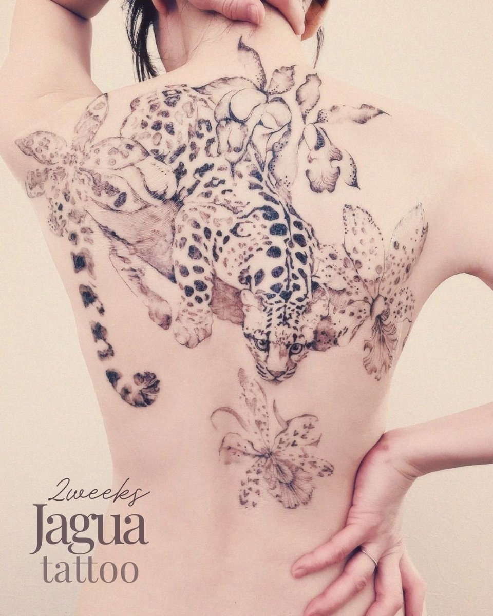 Mehndi208's tweet photo. ヒョウとラン🐆 https://t.co/CISlIzZxXk