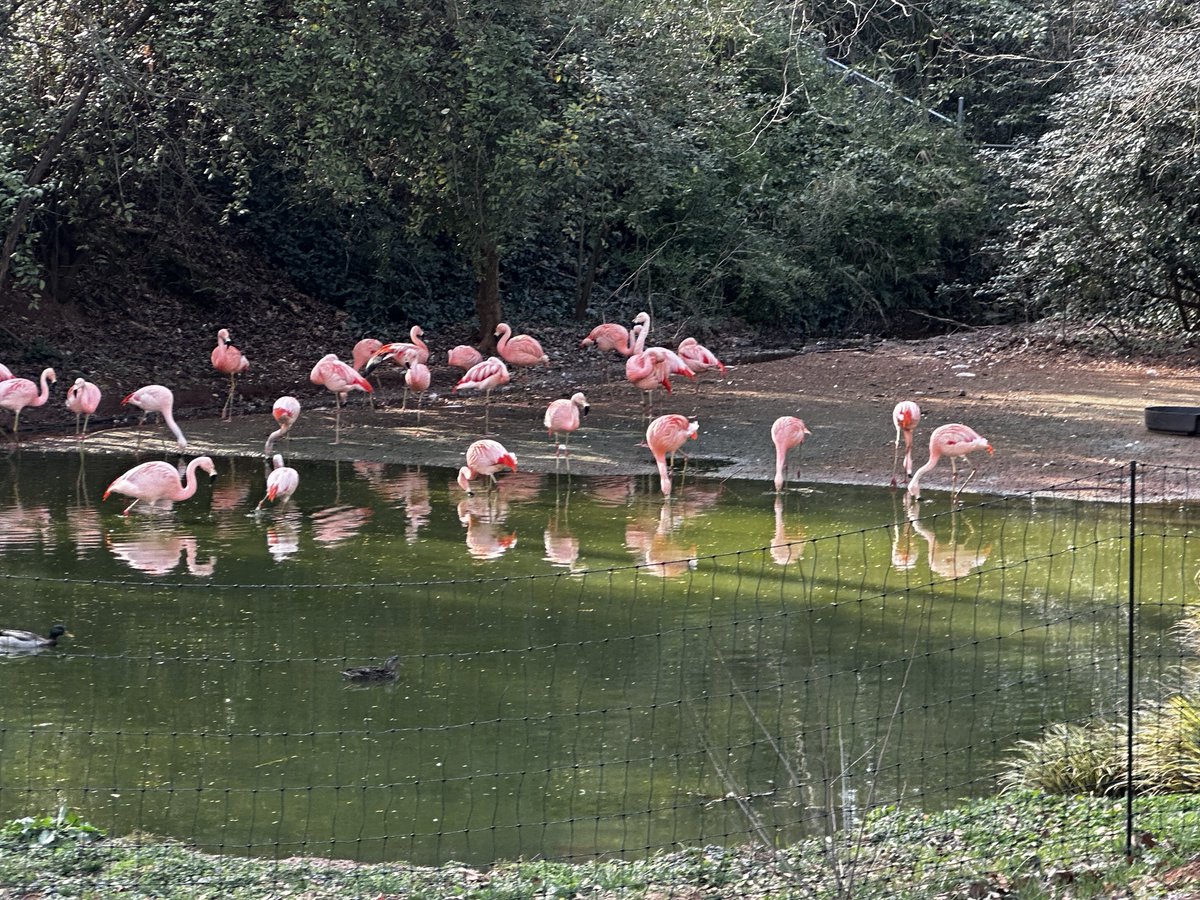 ĊṛÿṗẗöḄïḷḷÿ tweet media