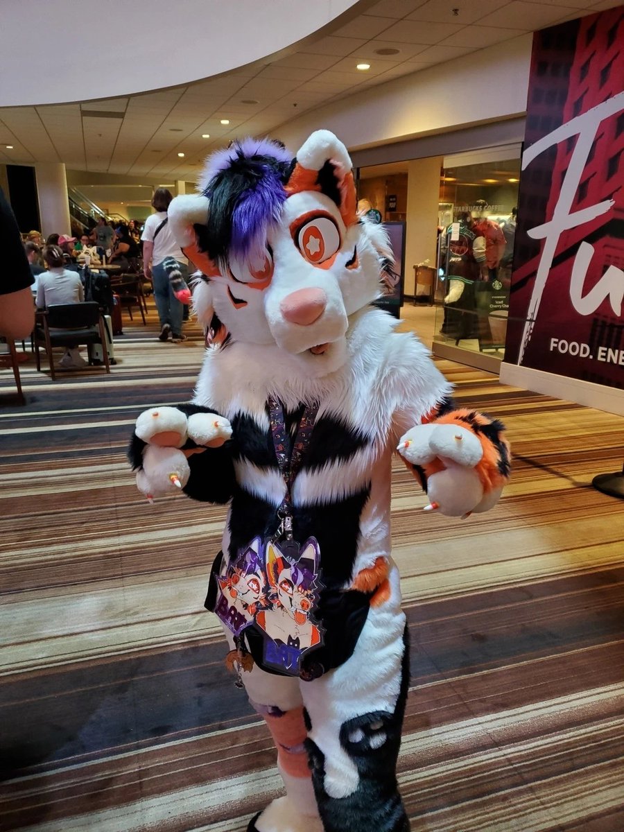 TheGothBear tweet media