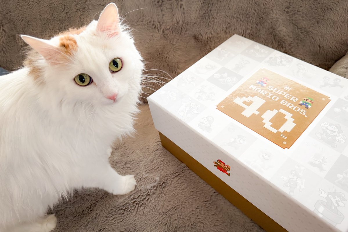 GAMES.CH tweet media