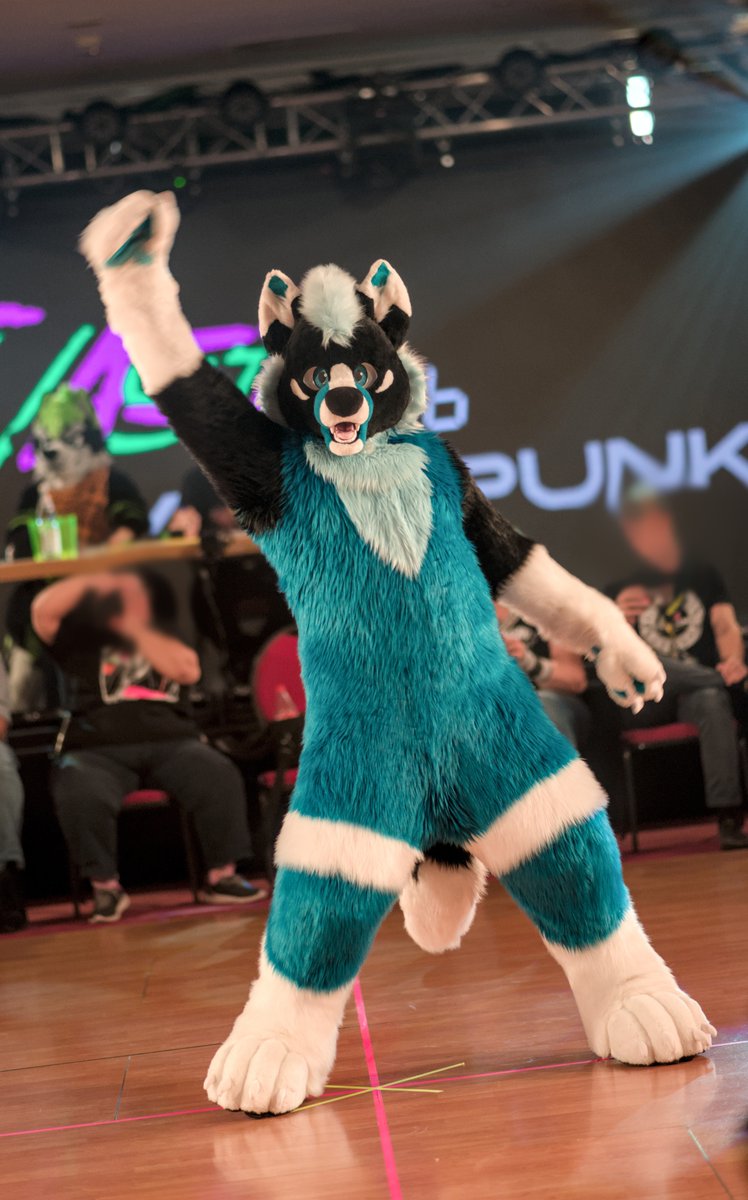 Freunde auf 2 Pfoten e. V. tweet media