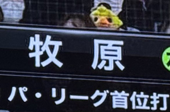 ぐーりん tweet media