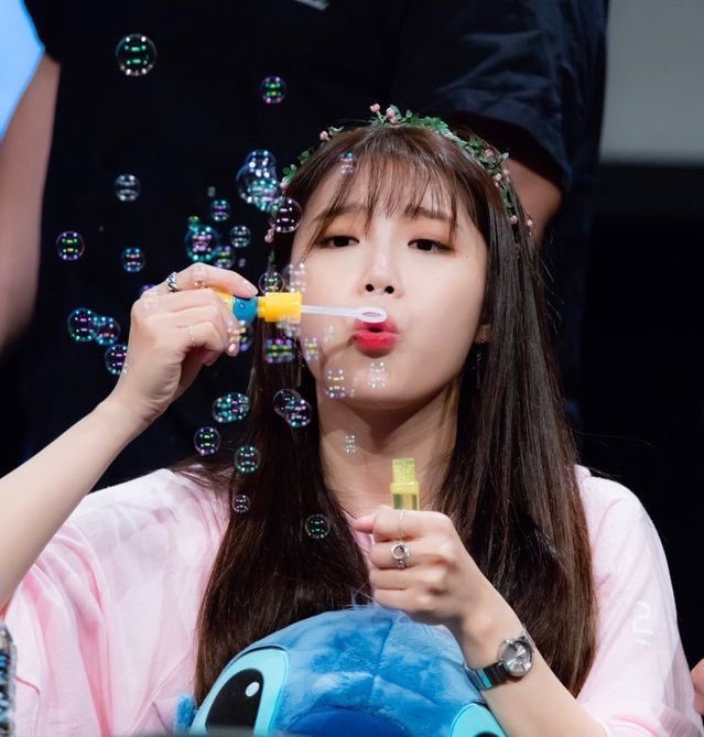 야호 tweet media