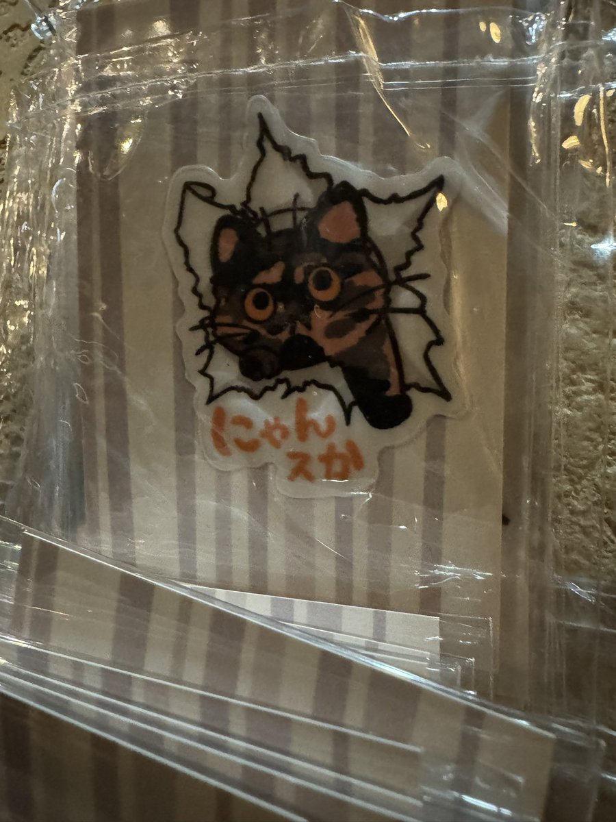 こnoha 🍄チャンズ⚄ファクトリー tweet media