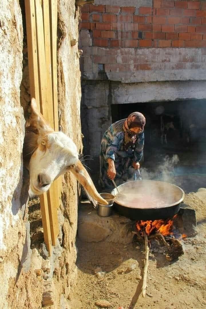 DENİZ_TOPRAK2 tweet media