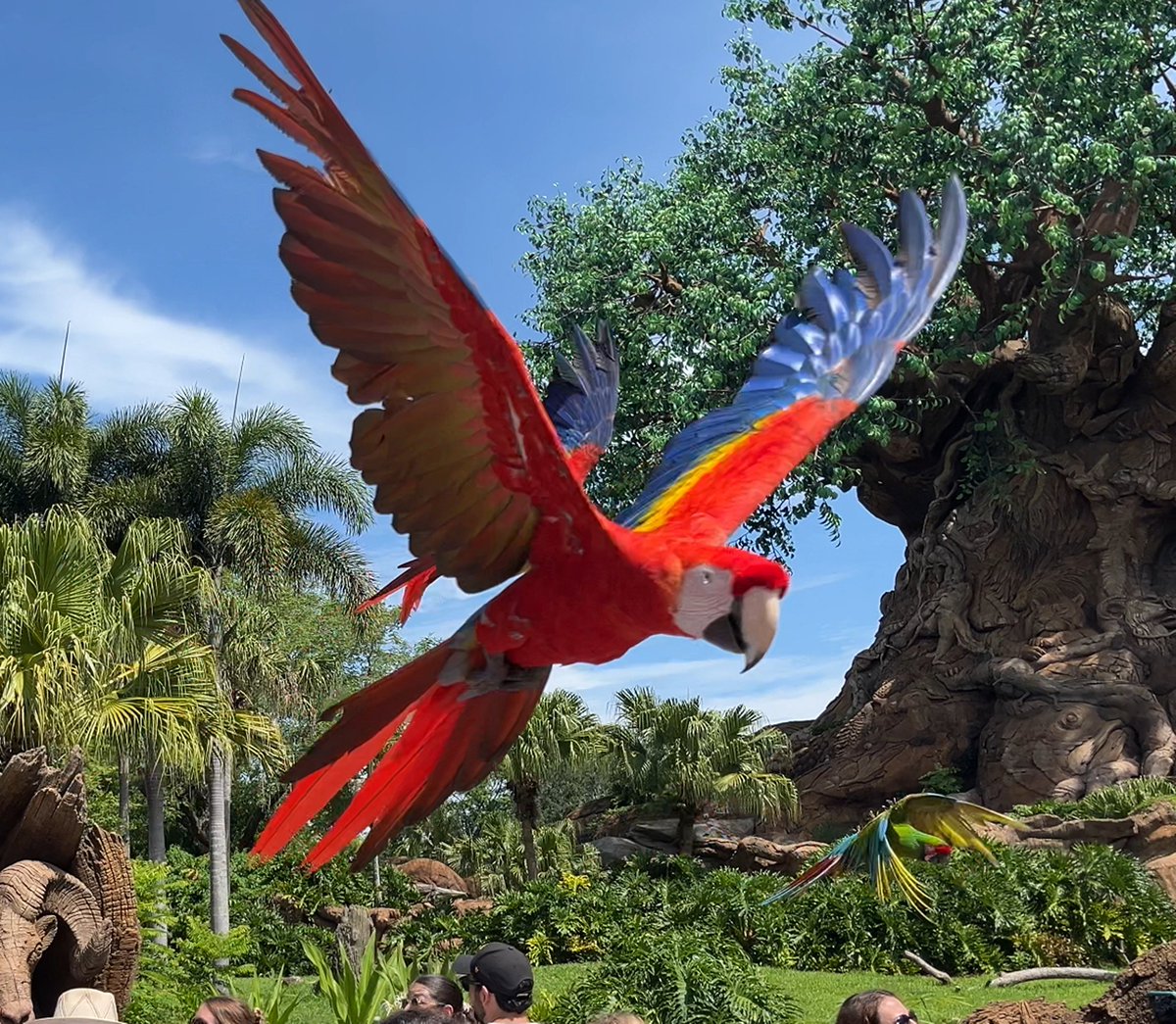 DisneyClipsGuy tweet media