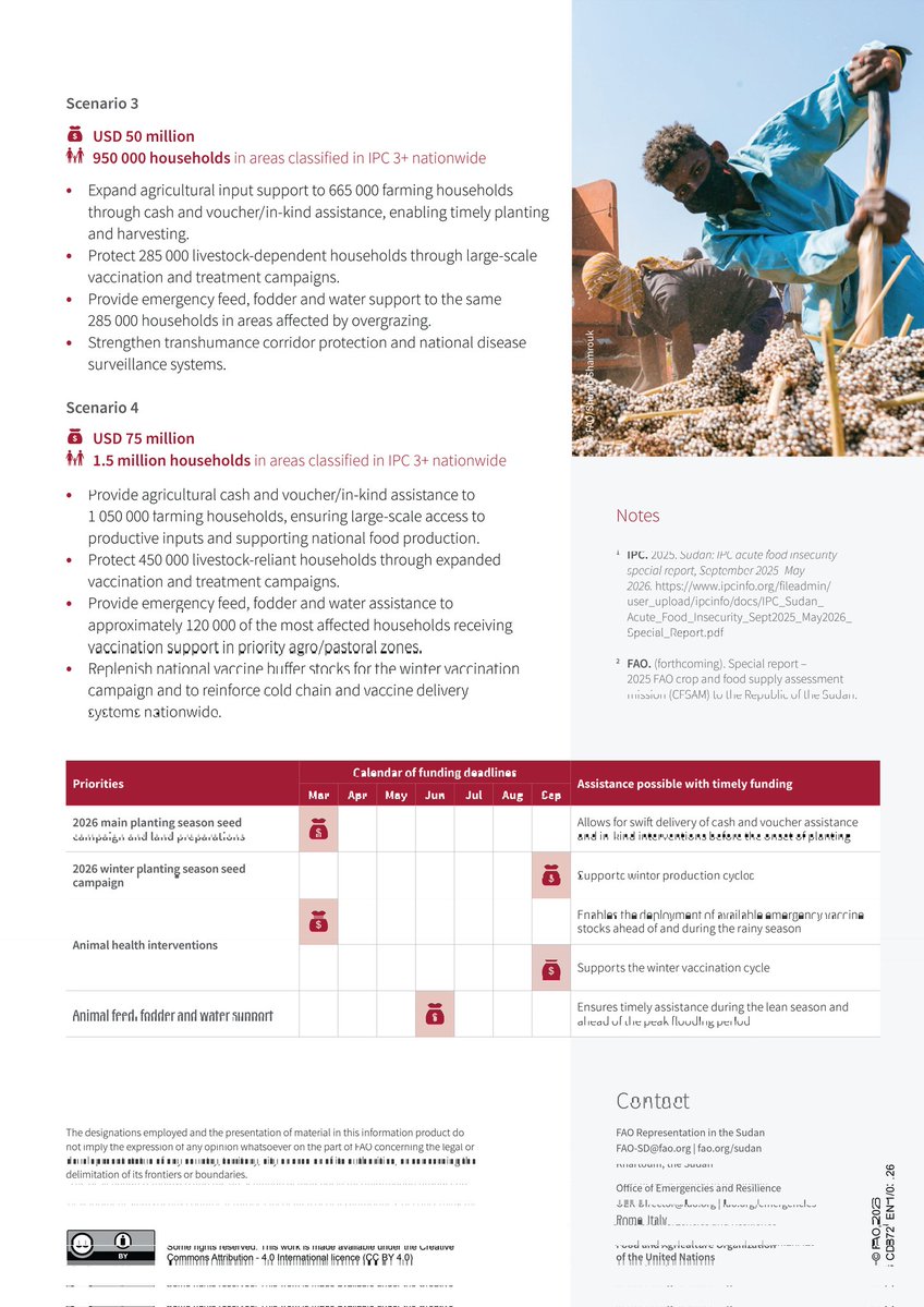 Hongjie Yang tweet media