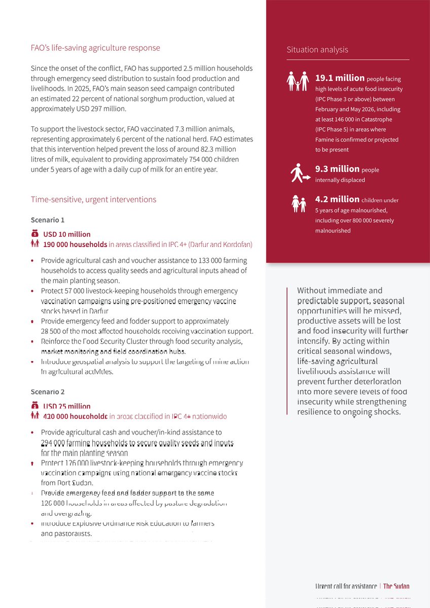 Hongjie Yang tweet media