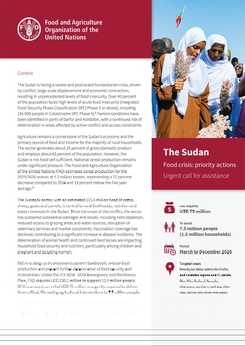 Hongjie Yang tweet media