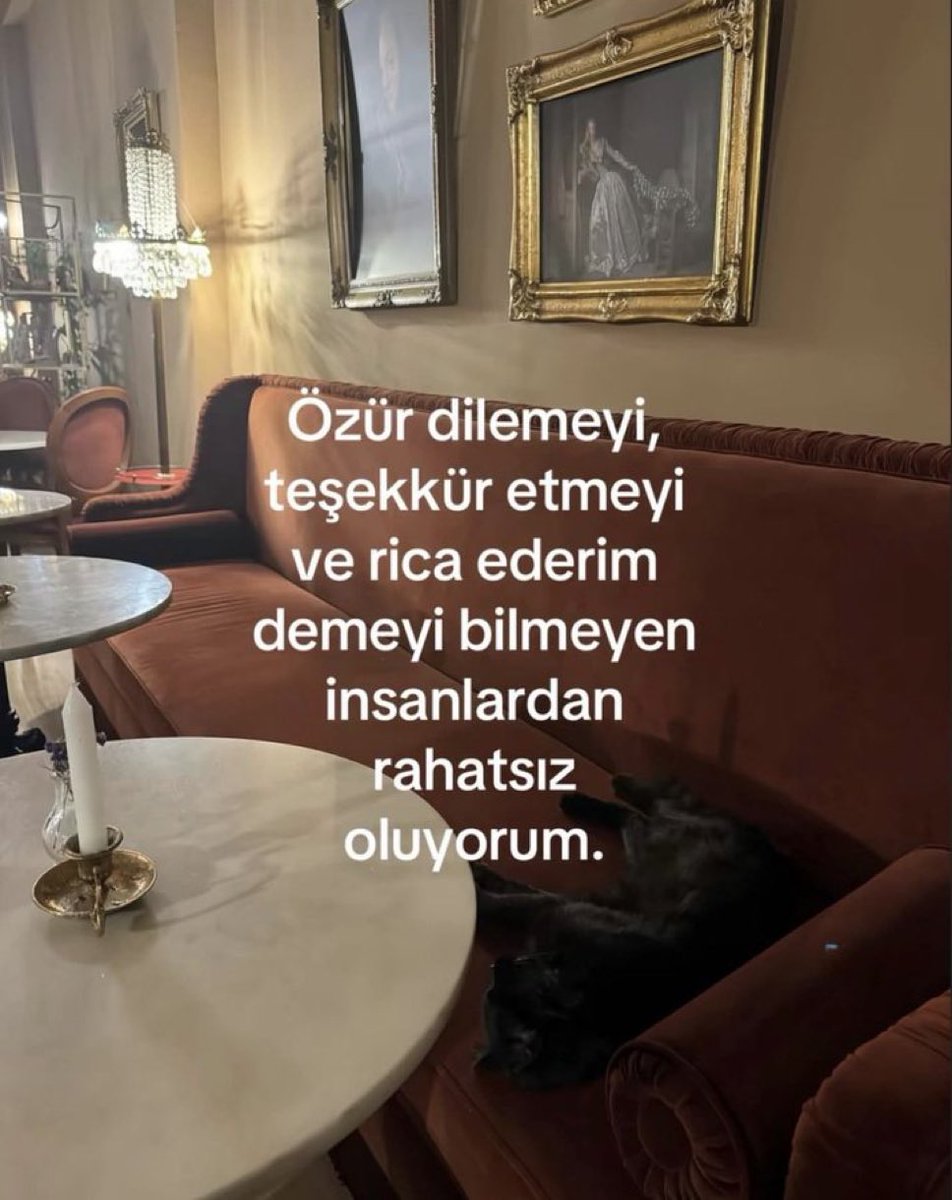 cansu yavuz tweet media