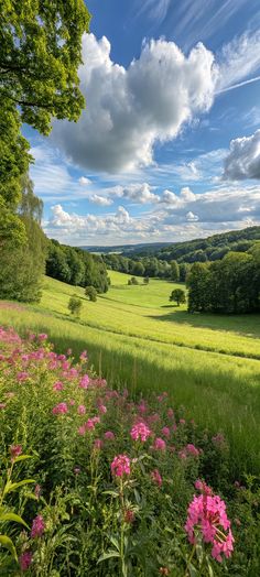 فهد العقيل (@fahdalaqeel3) on Twitter photo 