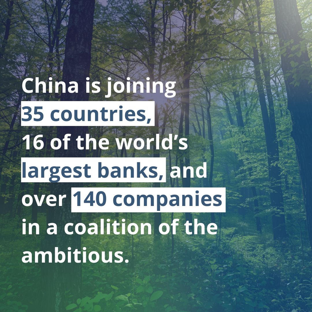 Net Zero Nuclear tweet media