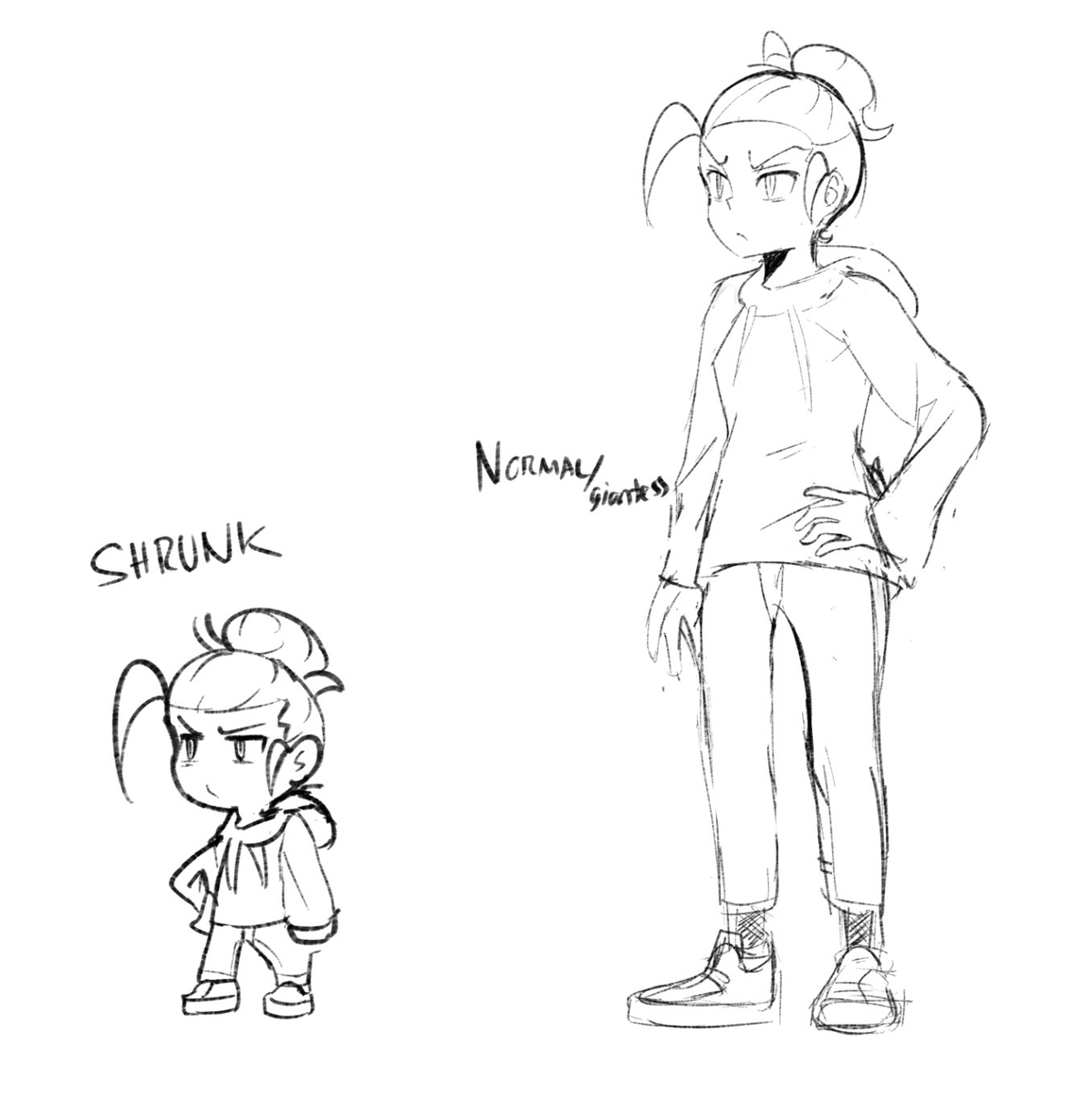 Sizeable tweet media