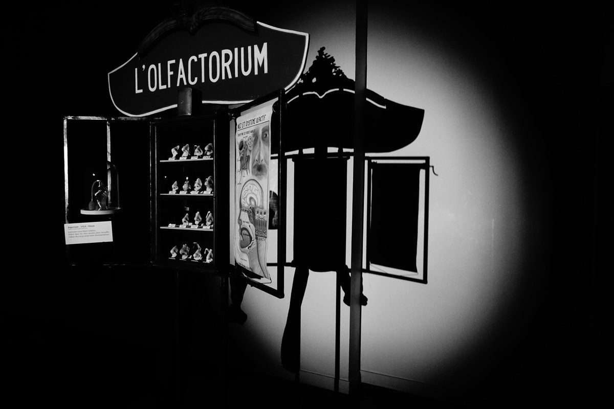 Cortex Mag tweet media