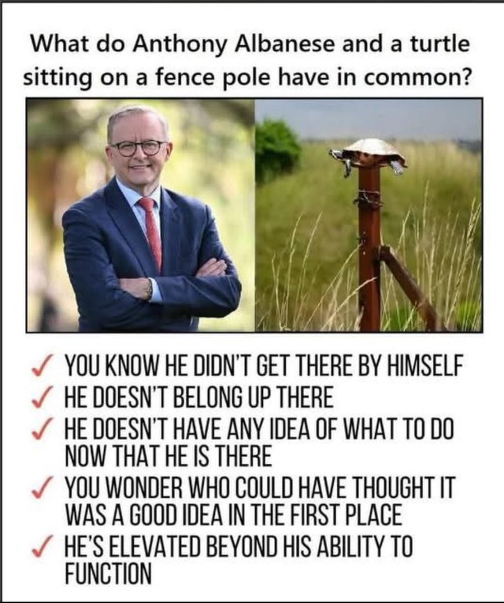 DiscursiveMe B.G.B (Hons). Liberal Fugitive. tweet media