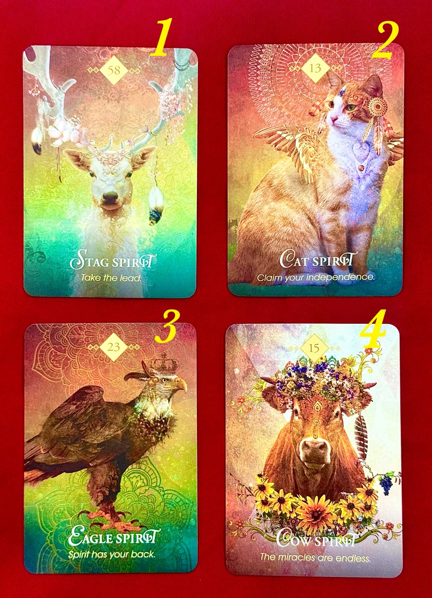 MoondyTarot's tweet photo. Pick A Card [ เรื่องเด่นเดือนมีนาคม ?? ] ✨✨🔥⭐️

✨ มีให้เลือก 4 ใบ

#ดูดวง  #ดูดวงฟรี https://t.co/TWvDsYPYTy