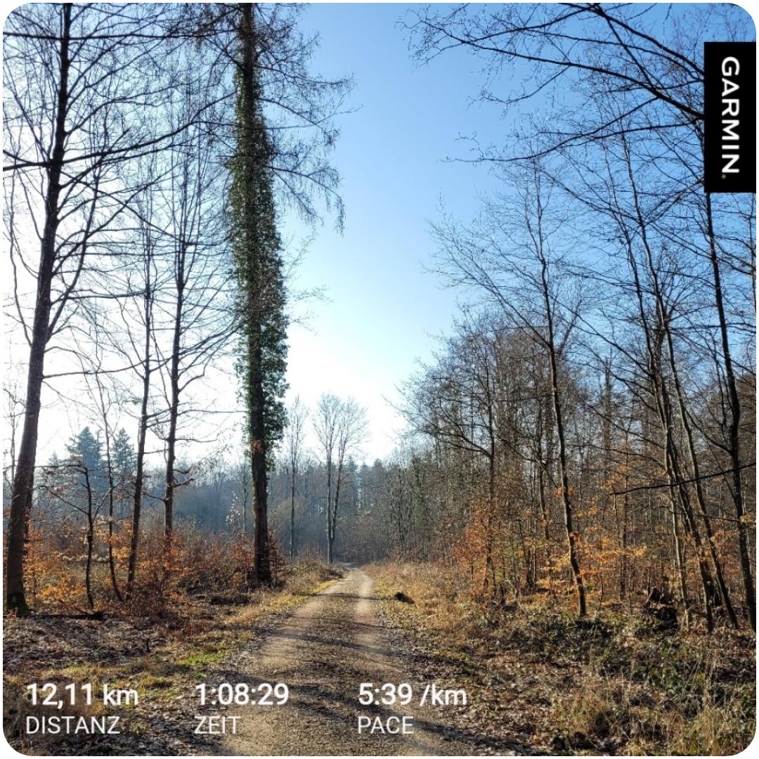 Andi Running tweet media