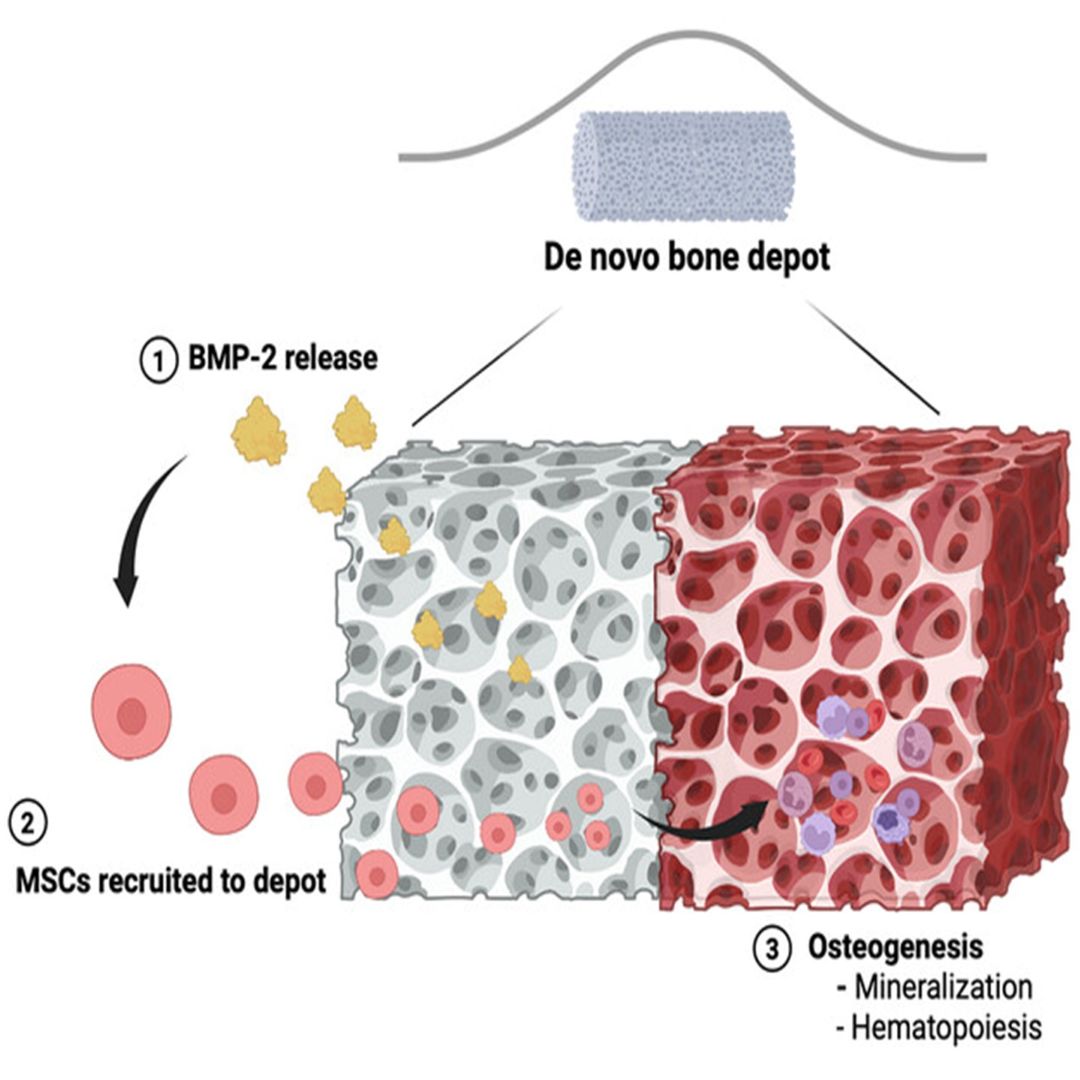 Advanced Portfolio News tweet media