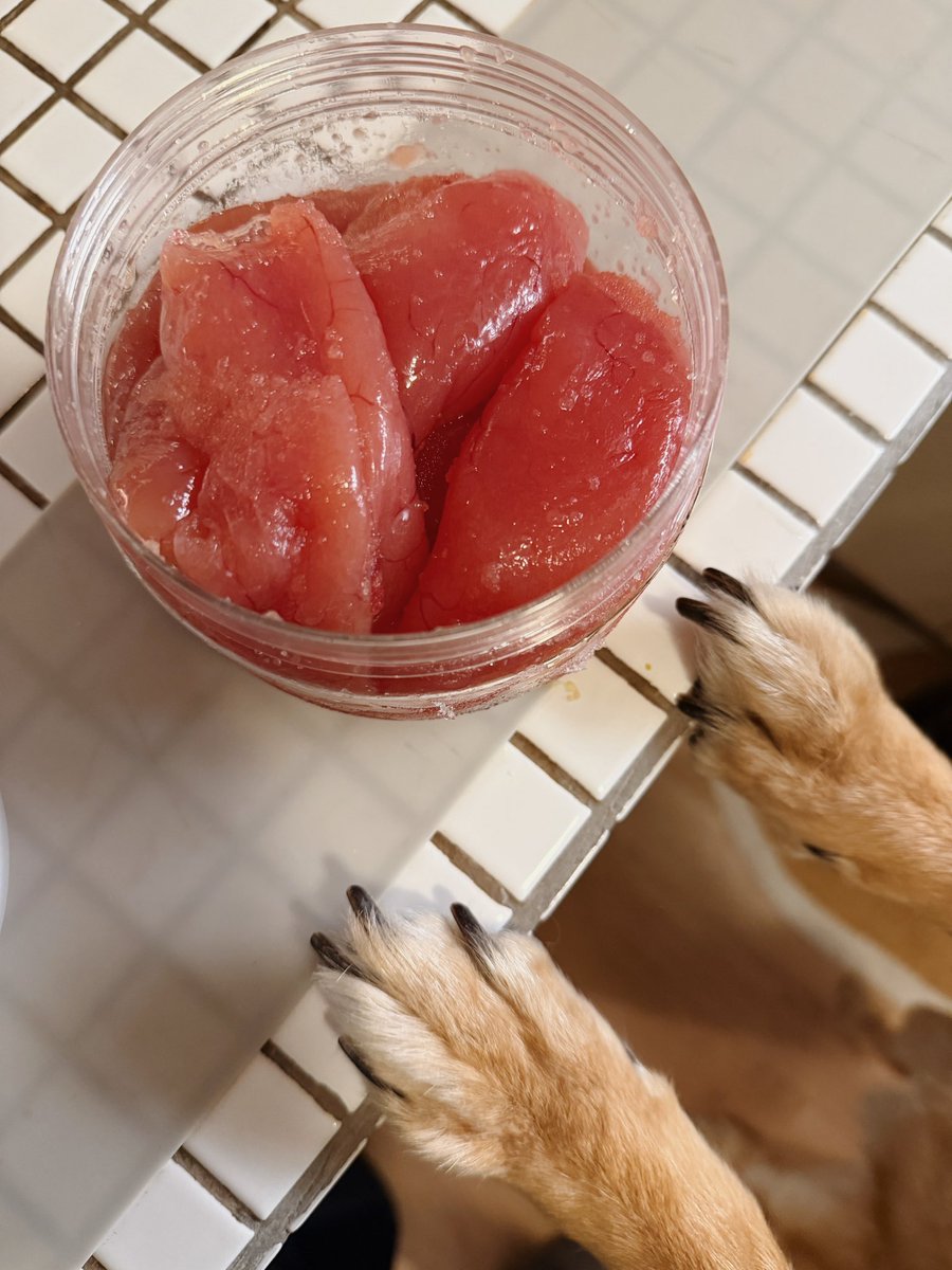 아니 파지 명란이 저렴하길래 한번 구매해봤는데 이정도로 파지라고 부르다니 기준이 대단히 엄격하네...