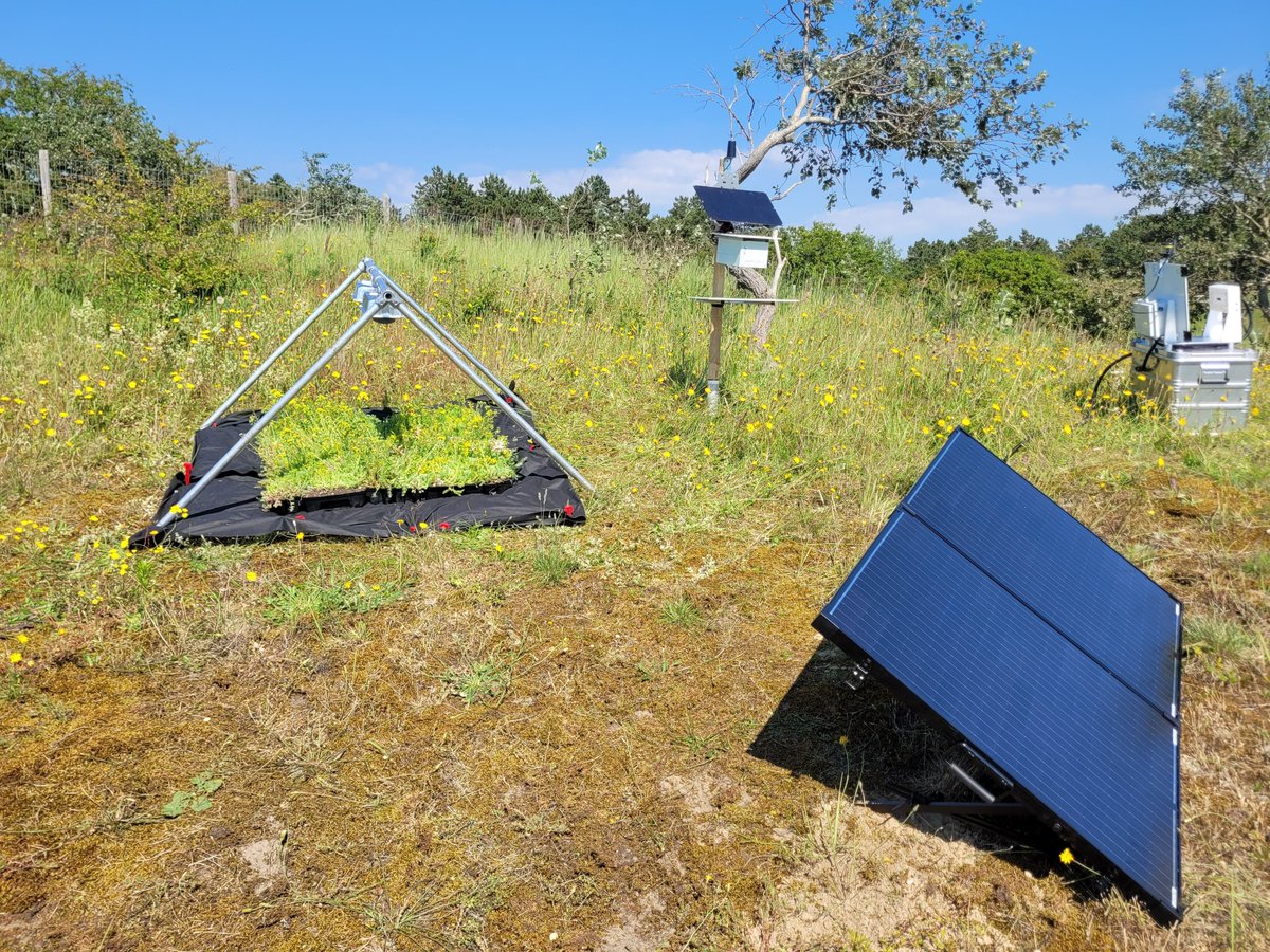 MAMBO Project tweet media