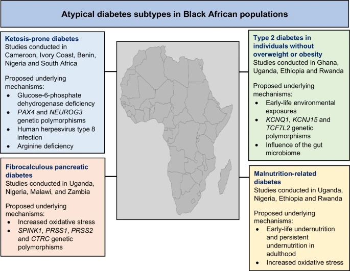 Diabetologia tweet media