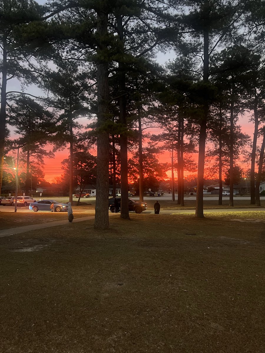 Ponderosa tweet media