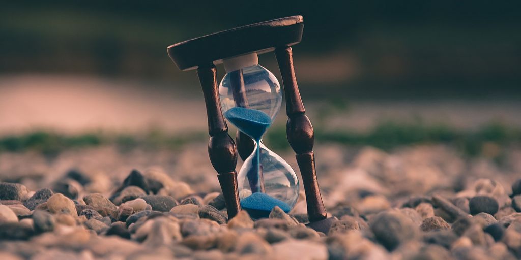 Wikbi Media Group tweet media