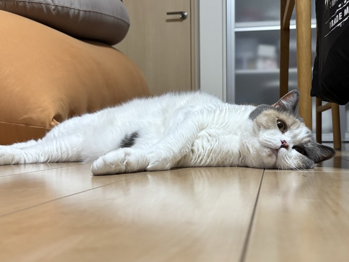 uuu-suke tweet media