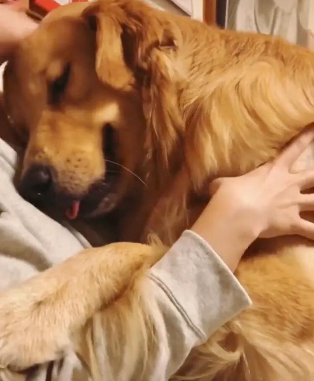 john levie c. abueva tweet media