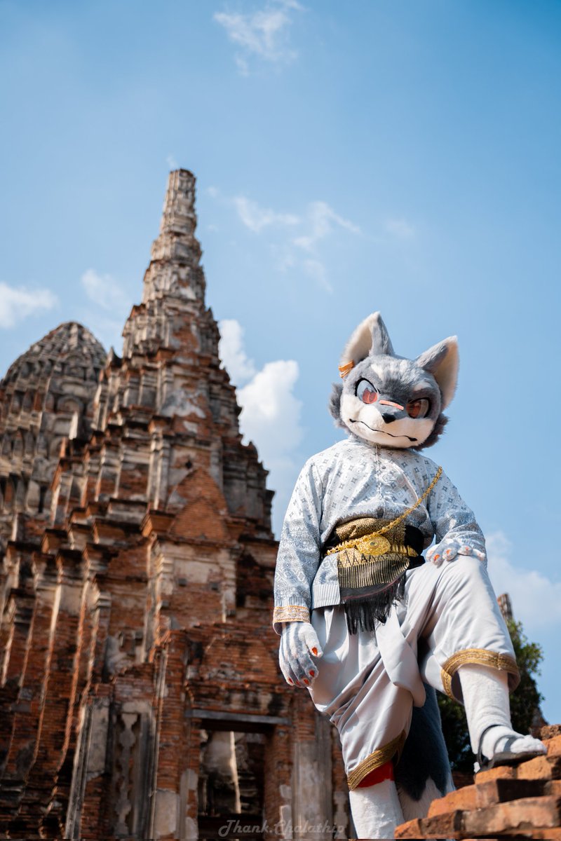 Link🔜Thaitails 🇹🇭 tweet media