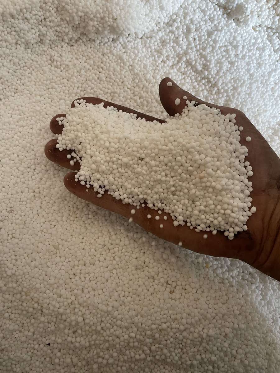 Mark Modra tweet media