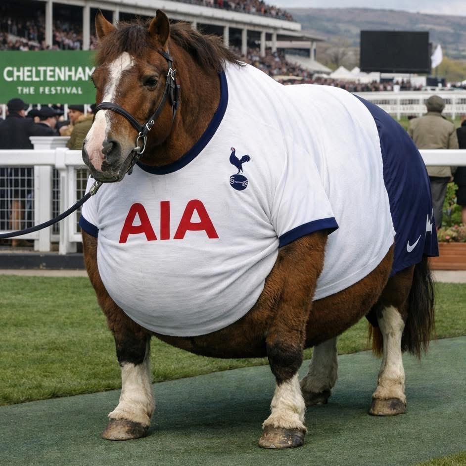 If Tottenham was a horse at Cheltenham
