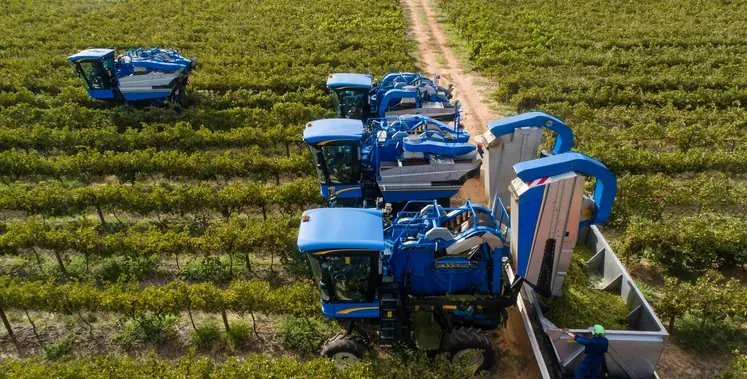 African Farming tweet media